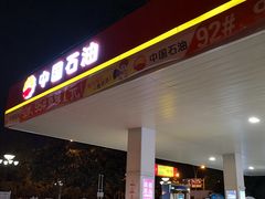 -中国石油(康福站)