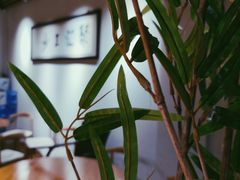 -聚汇三少·龙虾·中餐厅(莫邪路新天地店)