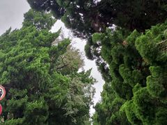 -八大关景区