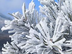 -太子岭滑雪场