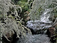 -中国茶叶博物馆(双峰馆区)