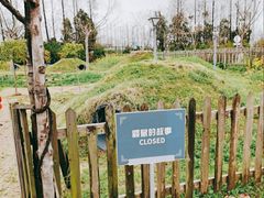 -前小桔亲子创意农场·草莓采摘·露营烧烤