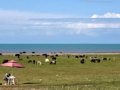 -青海湖国家重点风景名胜区