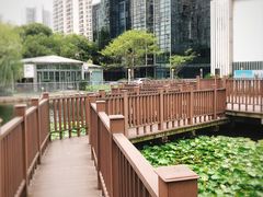 -苏州河梦清园环保主题公园