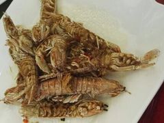 椒盐虾姑-海景苑海鲜大酒店(吕四店)