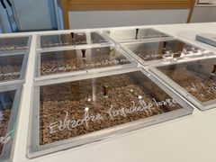 -% Arabica阿拉比卡咖啡烘焙工坊