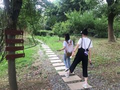 -鹅湖玫瑰文化园