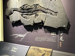 -贵州省地质博物馆