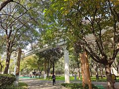 -唐城墙遗址公园