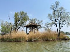 -野鸭湖国家湿地公园