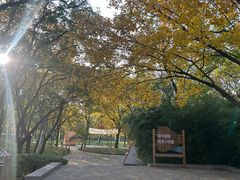 -千佛山风景名胜区