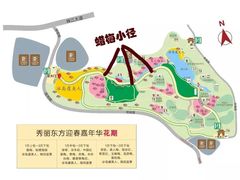 -秀丽东方