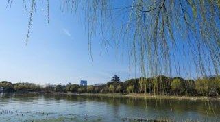 -金鸡湖桃花岛