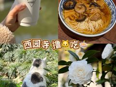 观音面-西园寺素食(西园弄戒幢律寺店)