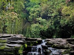 -大屏嶂森林公园