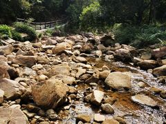 -广州白江湖森林公园