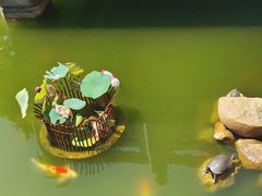 -台州府城(江南长城)