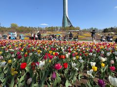 -沈阳植物园