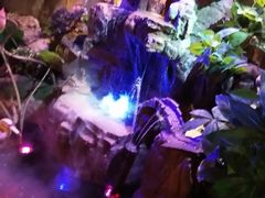 -醉小酒馆·川菜·江湖菜·重庆菜(观音桥旗舰店)