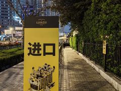 -陆家嘴中心绿地