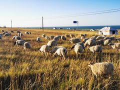 -青海湖国家重点风景名胜区