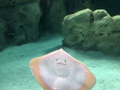 -珠海长隆海洋王国