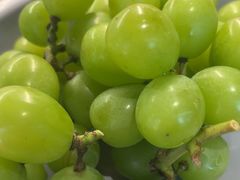 -龍歌自助小火锅(城阳万象汇店)