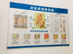 -荟草堂痘肌修护中心