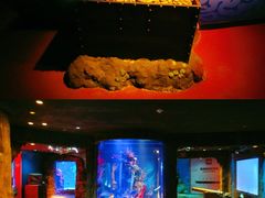 -沈阳海洋探索中心