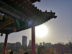 -青城公园