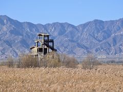 -野鸭湖国家湿地公园