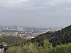 -大青山野生动物园