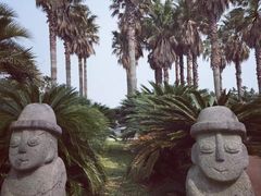 -涉地可支