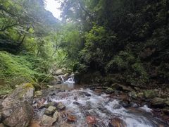 -西岭雪山大飞水景区