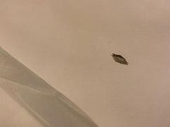 -三亚亚龙湾铂尔曼别墅度假酒店
