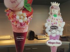 -哈根达斯(西安高新店)