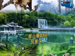 -成都大熊猫繁育研究基地