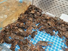 -半岛听涛蒸汽海鲜自助(K11店)