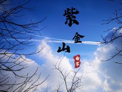 -紫金山山顶公园