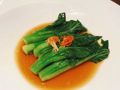 -觀芷隐轩