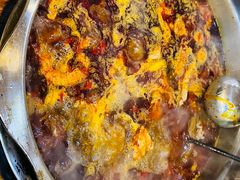 红锅-金鼎雪山牦牛杂火锅(理县总店)