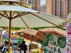 -鹏欣水游城
