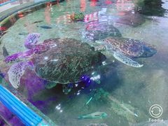 -鸿通城购物中心