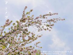 -海棠花溪(元大都城垣遗址公园)