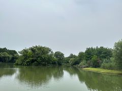 -中国湿地博物馆