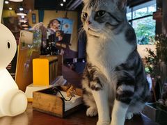 -咖法森林·咖啡  酒吧(天河店)