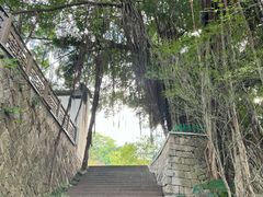 -乌山风景区