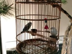 -小厨娘淮扬菜(六合欢乐港店)