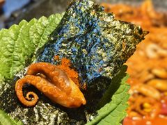 -红辣椒八爪鱼特色韩国料理