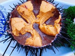 生吃海胆-丹东立强海鲜烧烤·牛B大串(星海店)